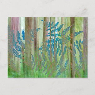Cartão Postal Colagem de Bracken Ferns e Floresta   Seabeck, WA