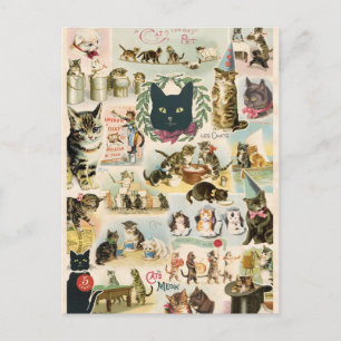 Cartão Postal Colagem de chats