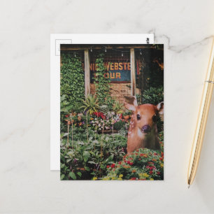 Cartão Postal Colagem de Fawn Fofo no Jardim