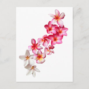 Cartão Postal Colagem de Flores de Plumeria
