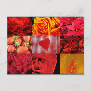 Cartão Postal Colagem de Fotografia Vermelha