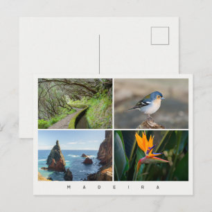 Cartão Postal Colagem de fotos da ilha da Madeira, viagem modern