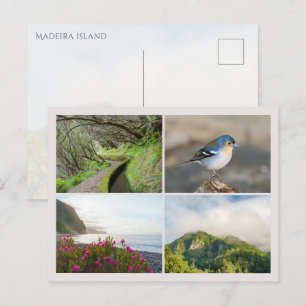 Cartão Postal Colagem de fotos da ilha da Madeira, viagem modern