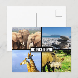 Cartão Postal Colagem de Fotos da Vida Selvagem da África do Sul