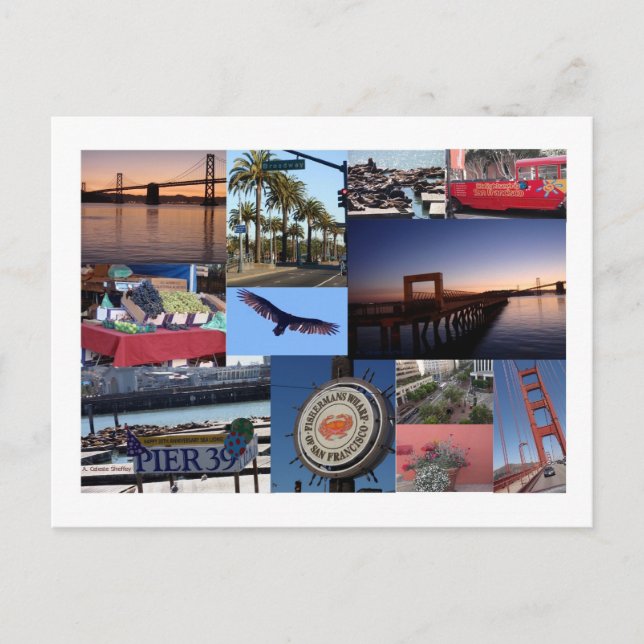 Cartão Postal Colagem de Fotos de São Francisco (Frente)