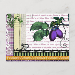 Cartão Postal Colagem de Frutas de Ameixas Vintage