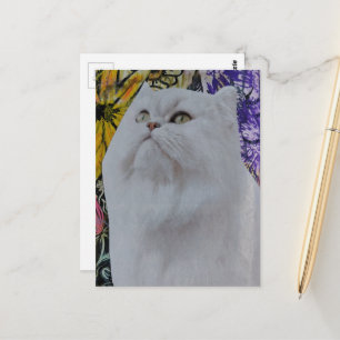 Cartão Postal Colagem de Gato Branco Bonito em Flores
