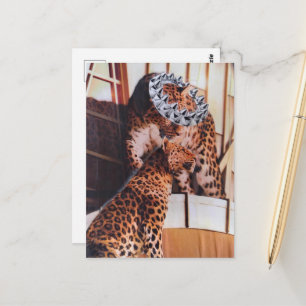 Cartão Postal Colagem de Grandes Felinos Reais