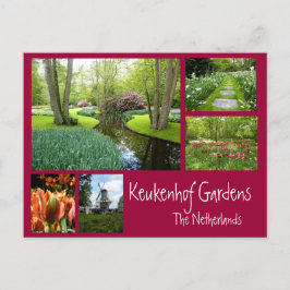 Cartão Postal Colagem de Jardins Keukenhof