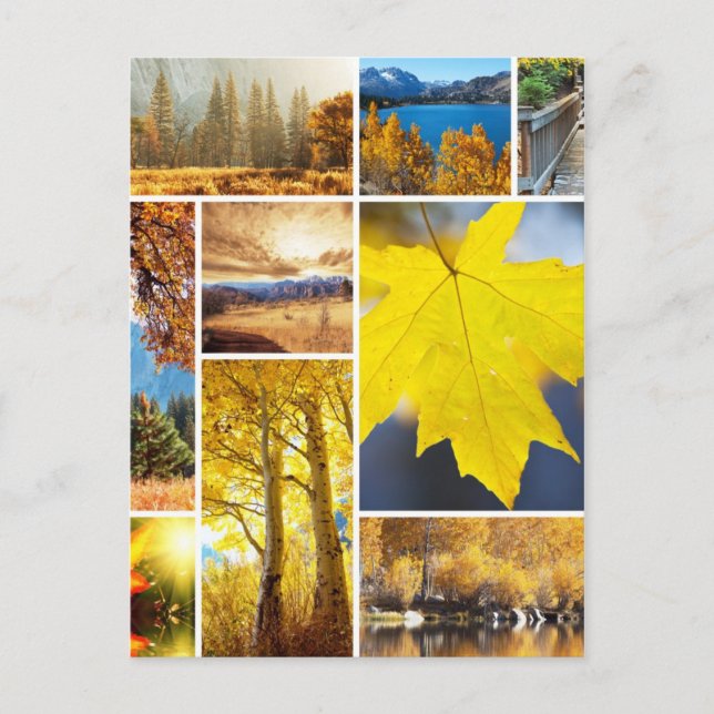 Cartão Postal Colagem de outono (Frente)