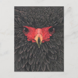 Cartão Postal Colagem de Papel Retrato de Aves da África Bateleu