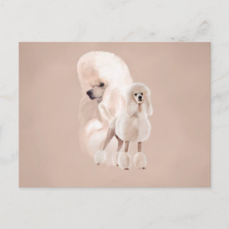 Cartão Postal Colagem de Pastel de Poodle Branco Elegante