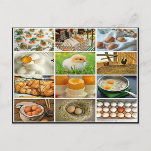 Cartão Postal Colagem de produtos de galinha de ovo colorida