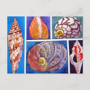 Cartão Postal Colagem de Seashell