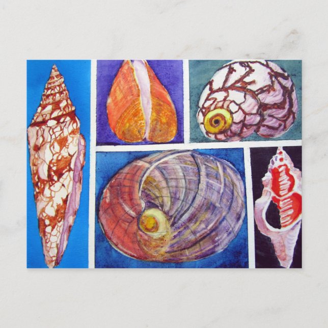 Cartão Postal Colagem de Seashell (Frente)