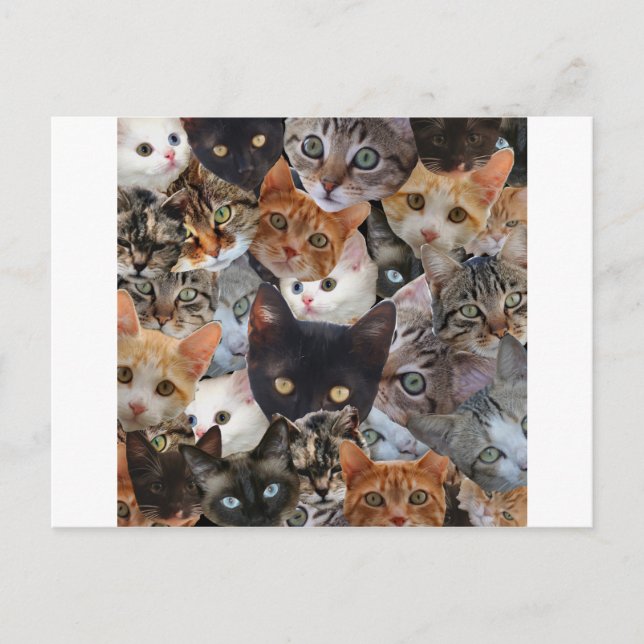 Cartão Postal Colagem do gatinho (Frente)
