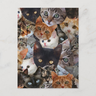 Cartão Postal Colagem do gatinho