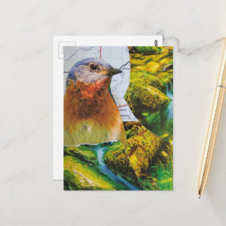 Cartão Postal Colagem do Mapa da Floresta do Pássaro Azul