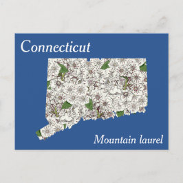 Cartão Postal Colagem do Mapa do Estado de Connecticut com a Flo