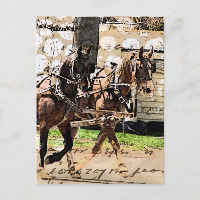Cartão Postal Colagem Mídia Mista de Dois Cavalos (Frente)