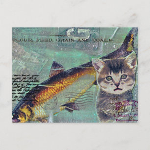 Cartão Postal Colagem Mista de Gato