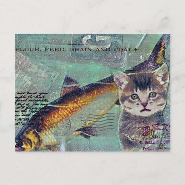 Cartão Postal Colagem Mista de Gato (Frente)