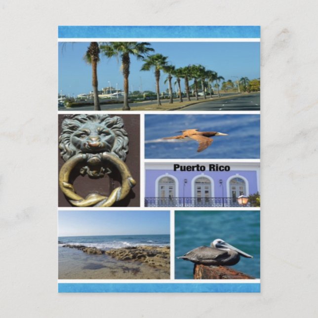 Cartão Postal Colagem natural de San Juan, Porto Rico (Frente)