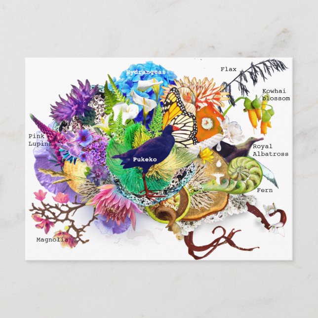 Cartão Postal Colagem Nova Zelândia (Frente)