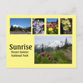 Cartão Postal Colagem Sunrise (Monte Rainier) 2