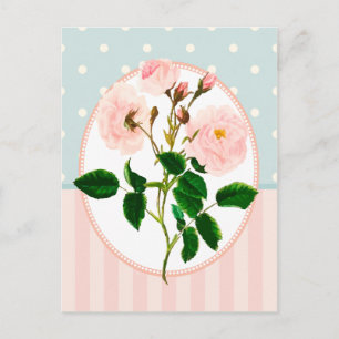 Cartão Postal Colagem Vintage Rosa Rosa Rosa Impressão