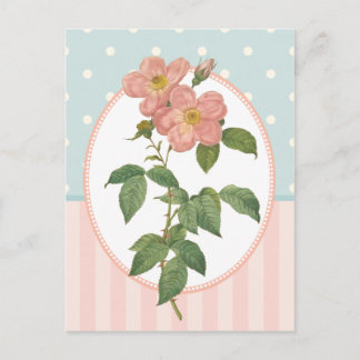 Cartão Postal Colagem Vintage Rosas Rosa-Rosa Impressão Botânico