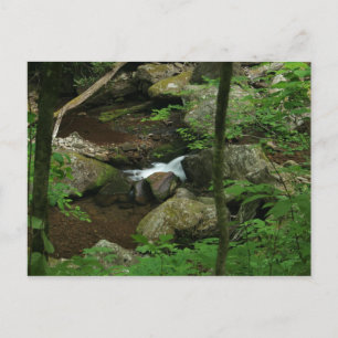 Cartão Postal Cold water