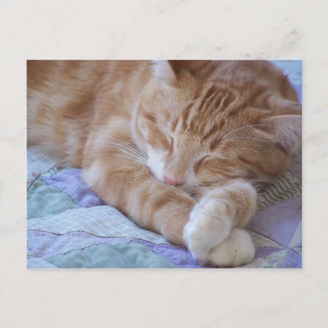 Cartão Postal Cole (Frente)