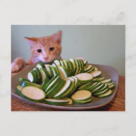 Cartão Postal Cole em ação