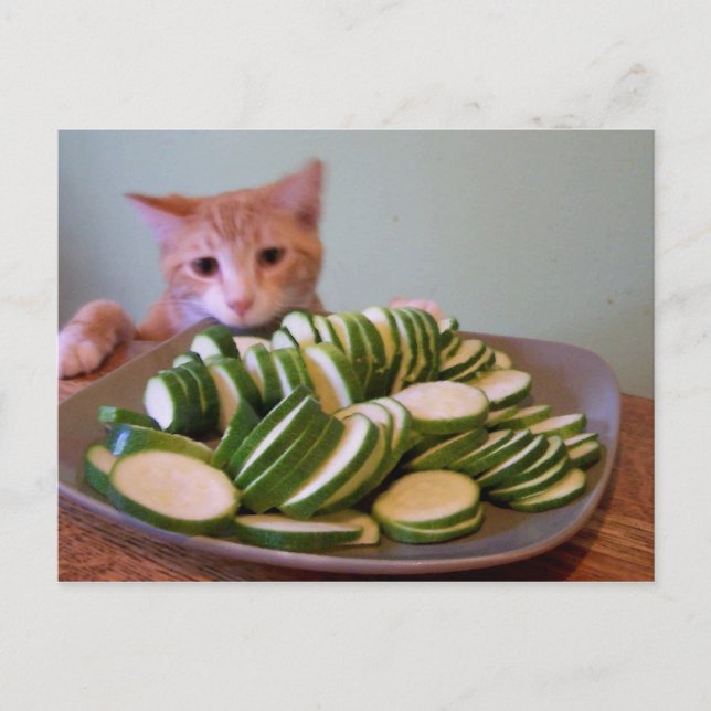 Cartão Postal Cole em ação (Frente)