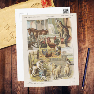 Cartão Postal Coleção de animais por Fazenda de cotovelo Ephemer
