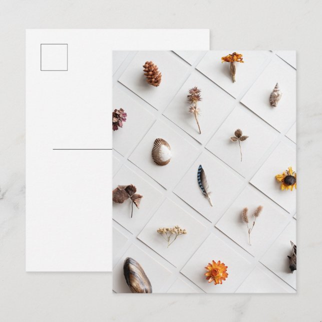 Cartão Postal Coleção de Espécimes Naturais Minimalista (Frente/Verso)