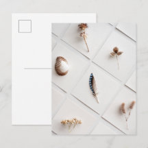 Coleção de Espécimes Naturais Minimalista