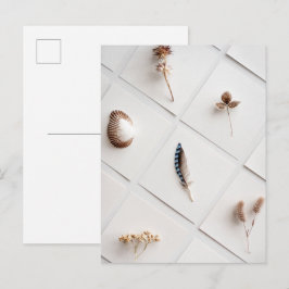 Cartão Postal Coleção de Espécimes Naturais Minimalista