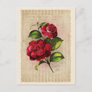 Cartão Postal Coleção de Vintage Postcard - Vol.3 - Cartão-posta