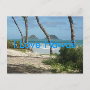 CARTÃO POSTAL COLEÇÃO HAWAII ALOHA