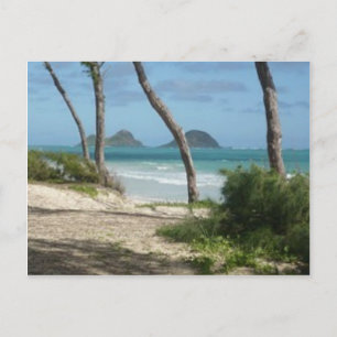 CARTÃO POSTAL COLEÇÃO HAWAII ALOHA