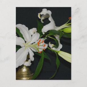 Cartão Postal Coleção Irlandesa de Design-Latão e Flores