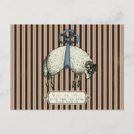 Cartão Postal Coleção Sheep™ do Arco bonito -