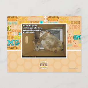Cartão Postal Colega de quarto de gordura