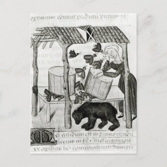 Cartão Postal Coletar Mel (Frente)