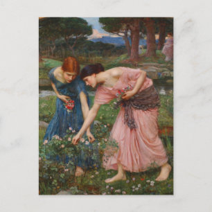 Cartão Postal Colete Ye Rosebuds por John W. Waterhouse