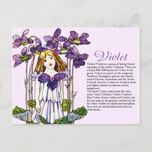 Cartão Postal Coletor de Botânica Vintage Violet Girl Informaç
