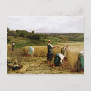 Cartão Postal Colheita, 1874