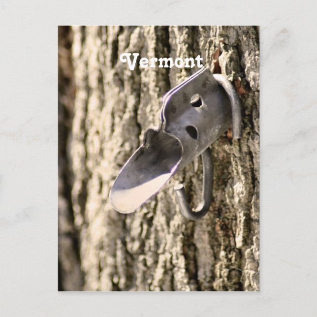Cartão Postal Colheita de Maple em Vermont (Frente)